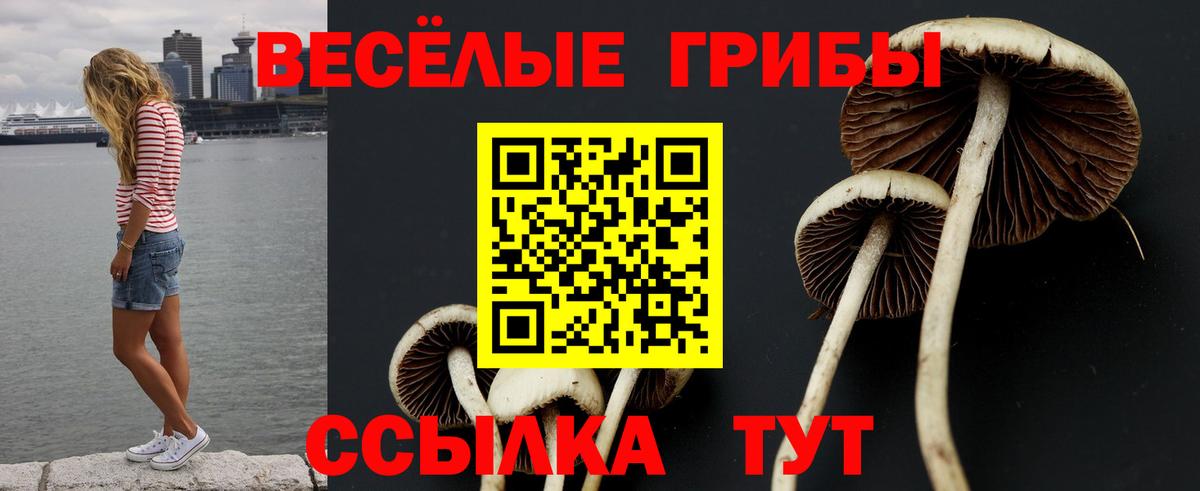 Галлюциногенные грибы мицелий Тула