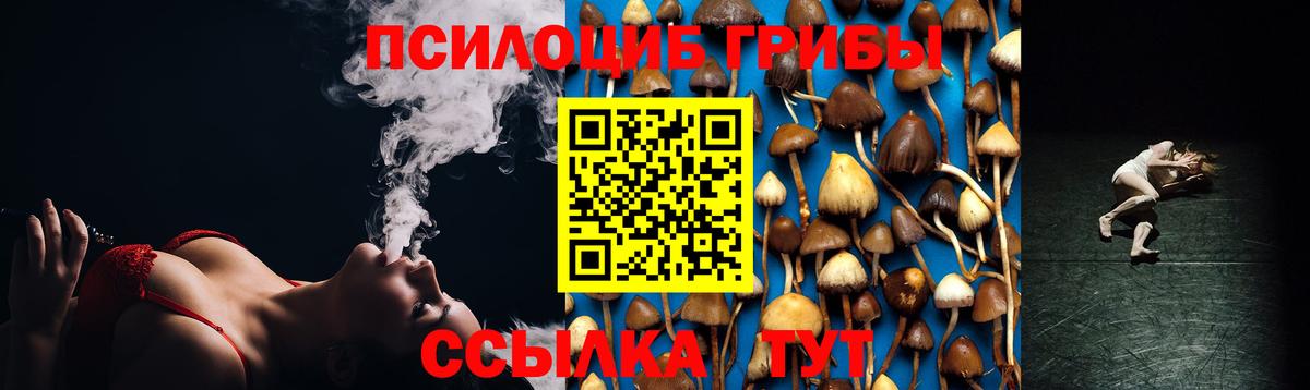 Тула  Псилоцибиновые грибы ЛСД  Вход с VPN 